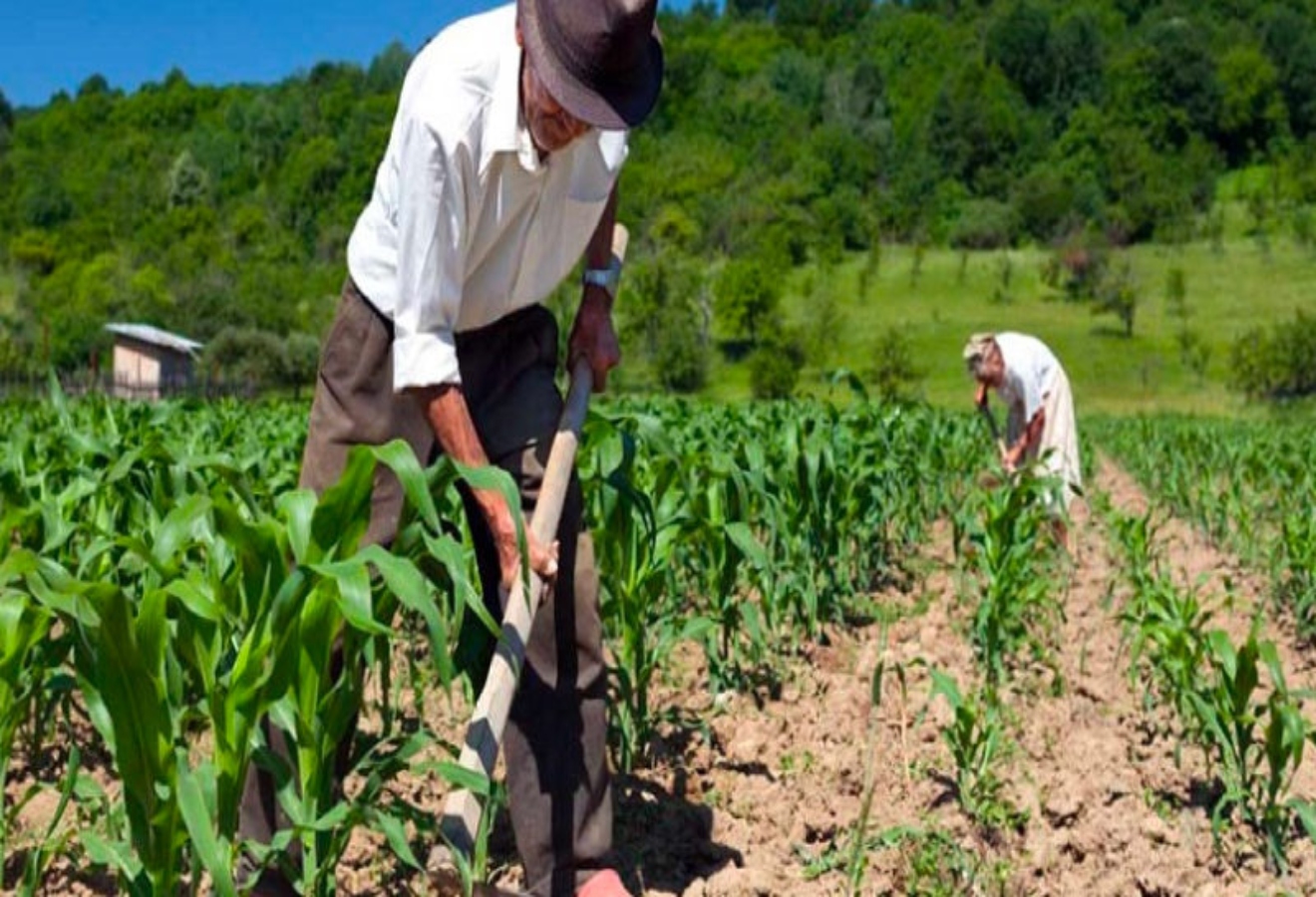 Agricultura