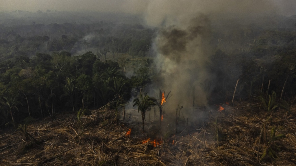 BRASIL-AMAZONIA