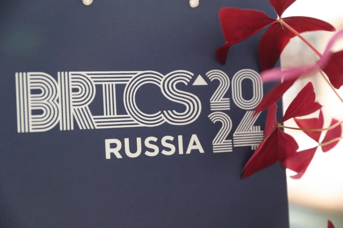 brics (4)