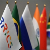 brics (6)