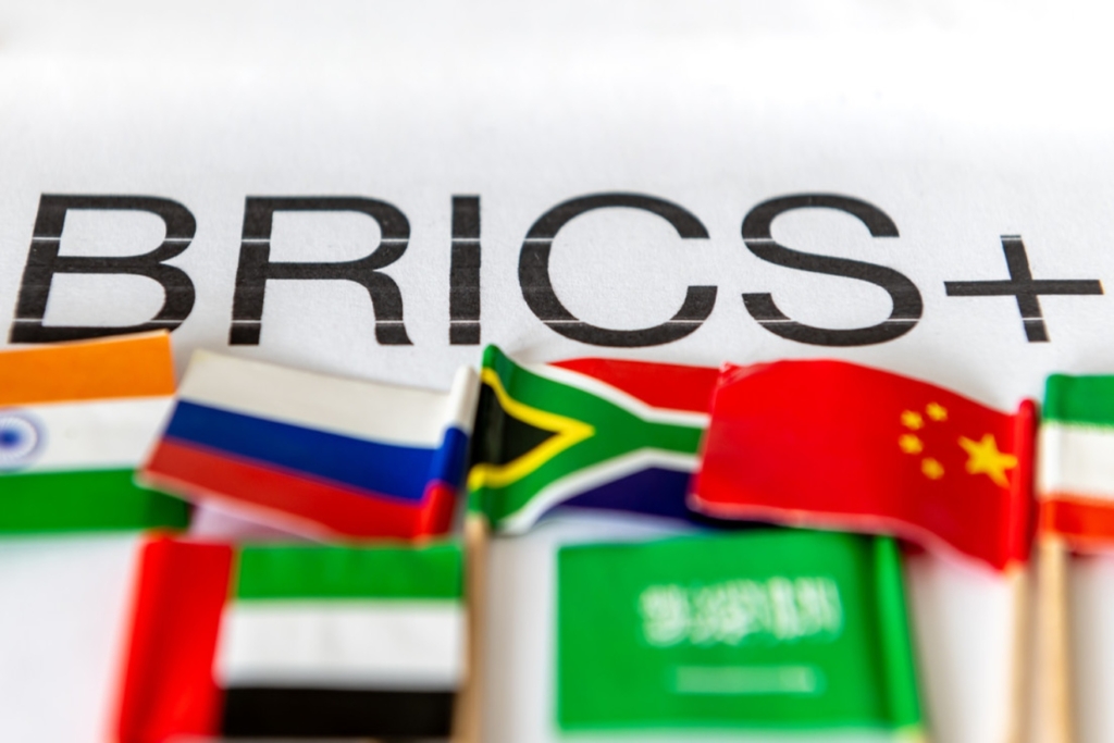 brics (7)