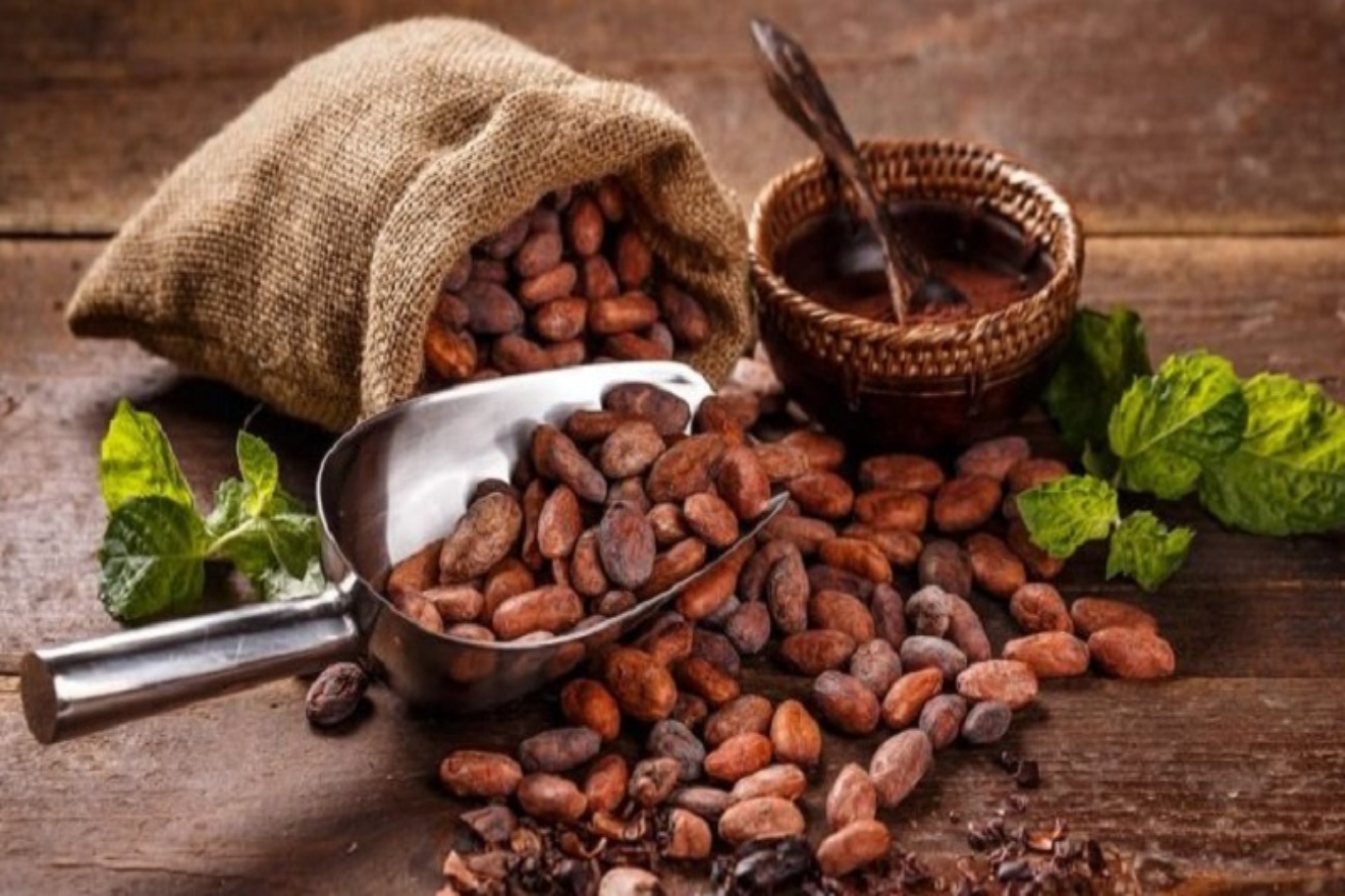 cacao-2