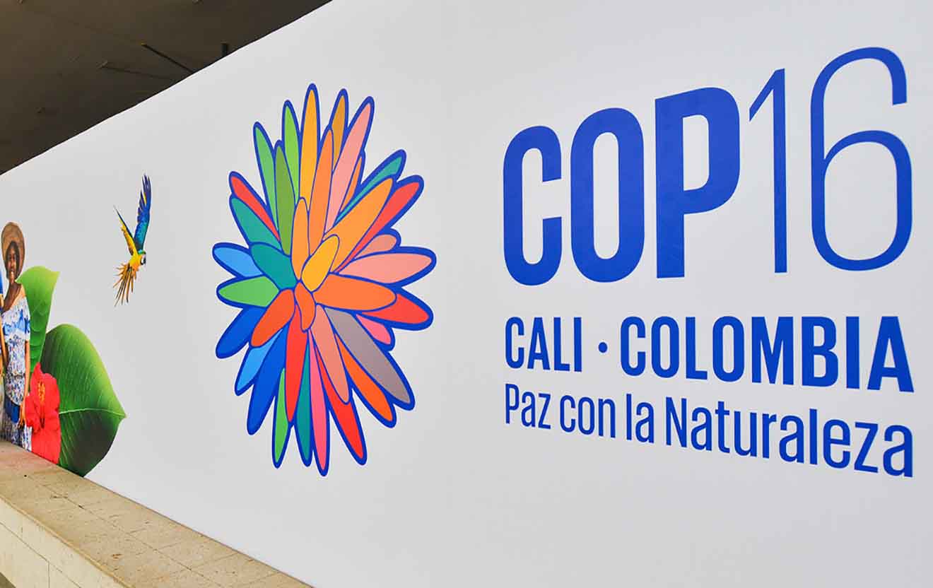 cop16