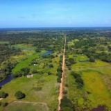 Apure (1)