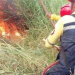 Bomberos de Caracas se preparan para período de sequía