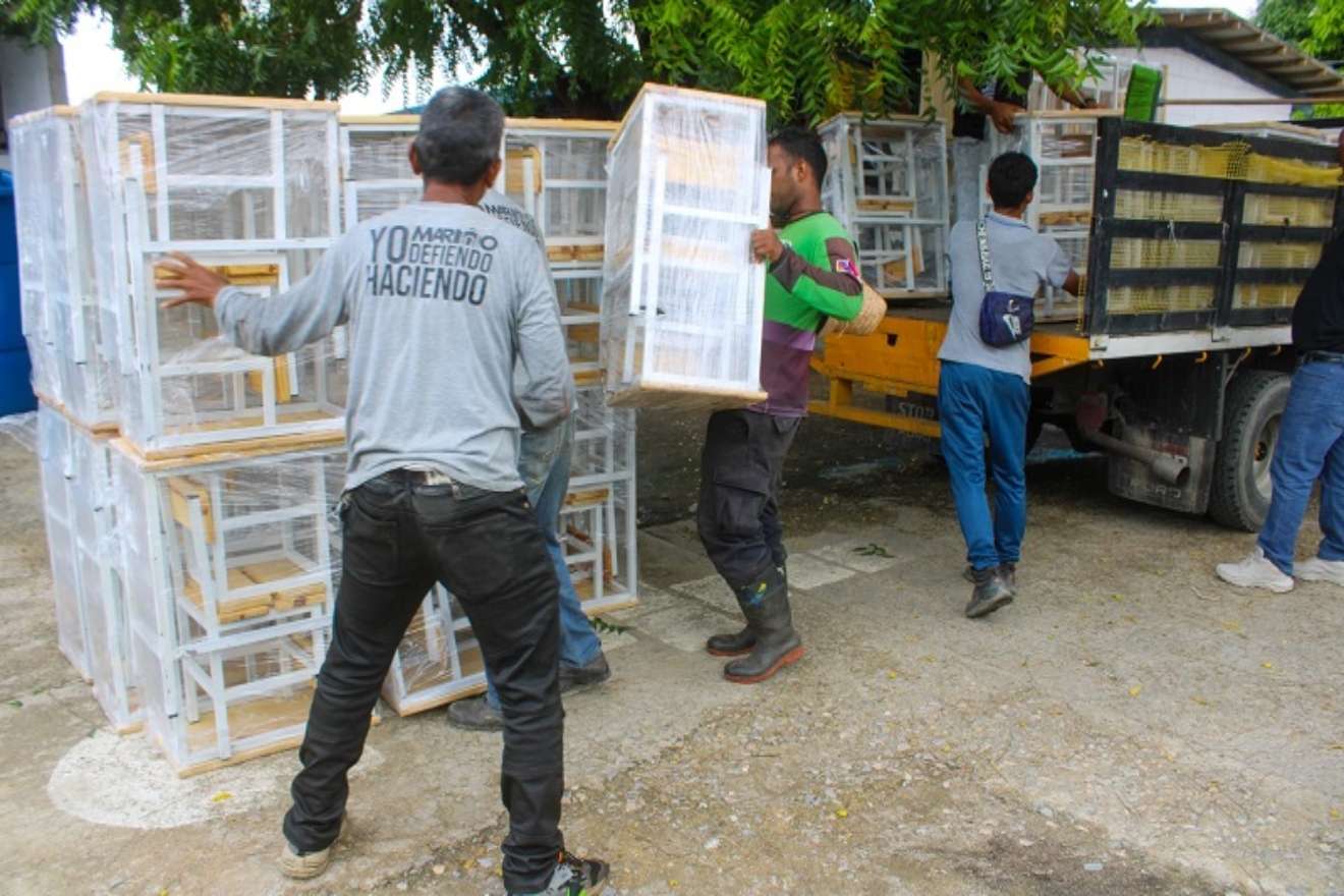ENTREGA-DE-MESAS-SILLAS-A-ESCUELAS-DE-MARINO-4