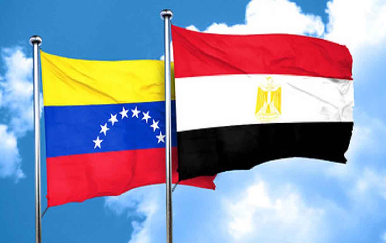 Internacional Antifascista de El Cairo exige la libertad de Maikelys Espinoza