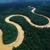 amazonia