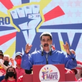 mayo maduro
