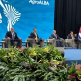 Agroalba