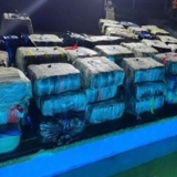 Operativo incautación de drogas