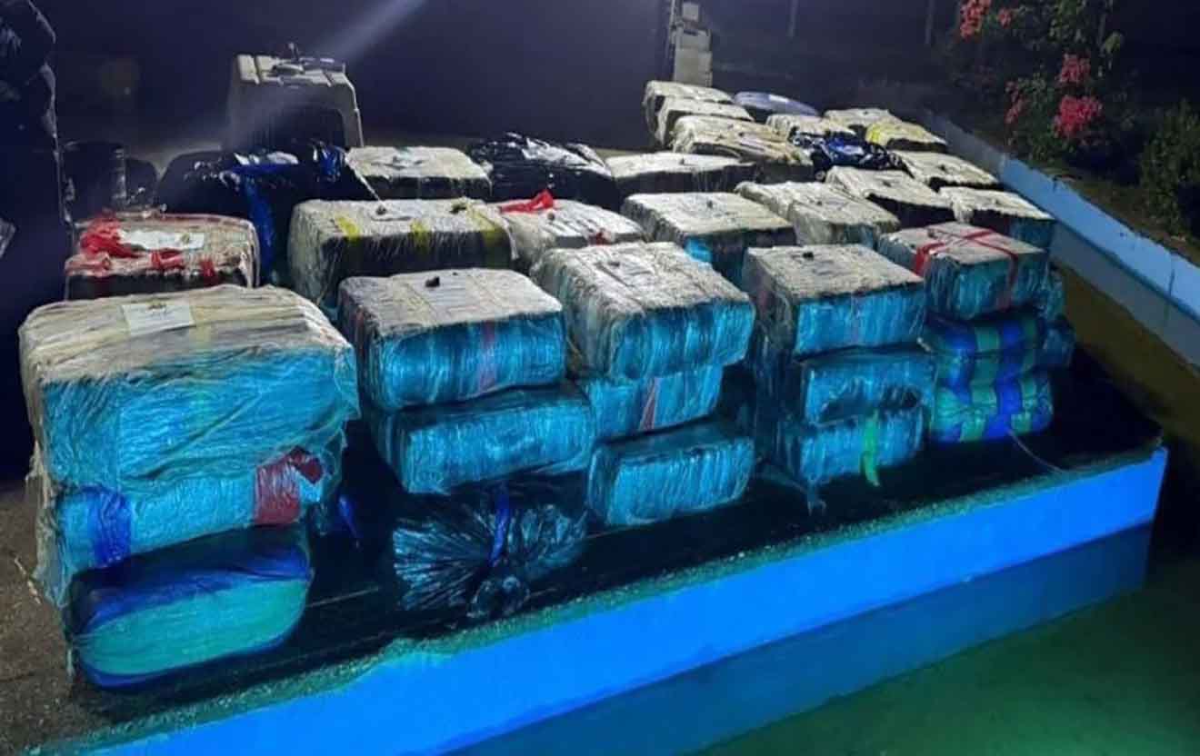 Operativo incautación de drogas