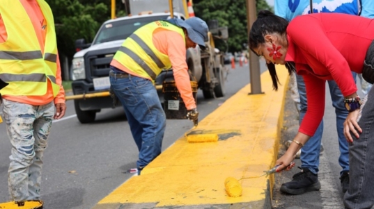 Aragua (15)