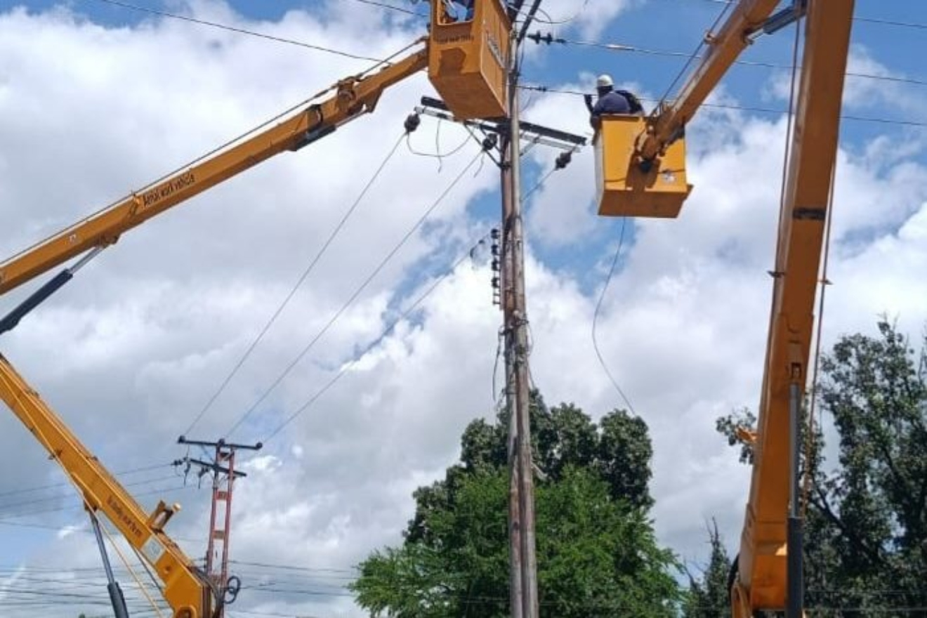 Aragua (16)
