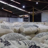 cafe verde-exportado-a-eeuu-