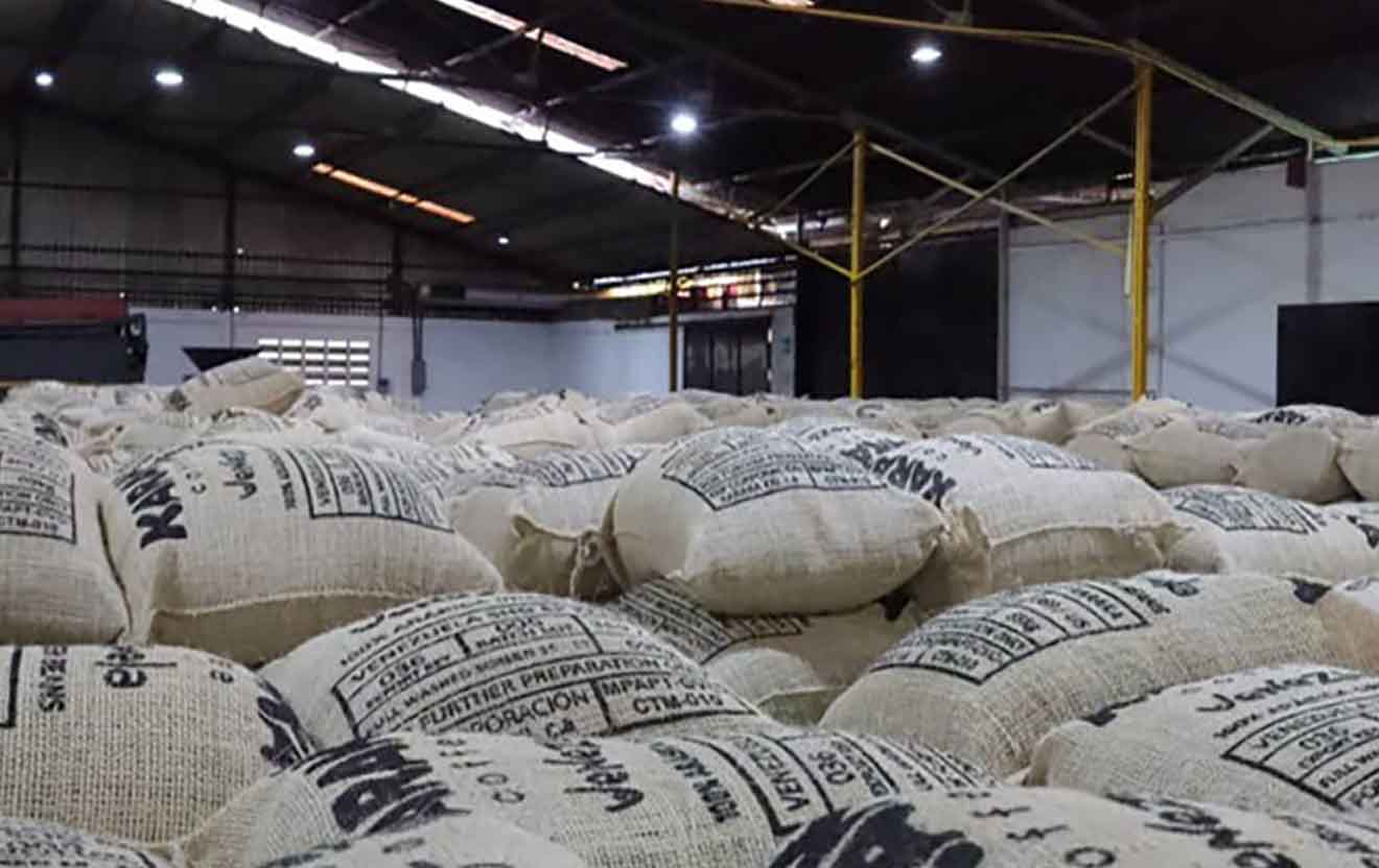cafe verde-exportado-a-eeuu-