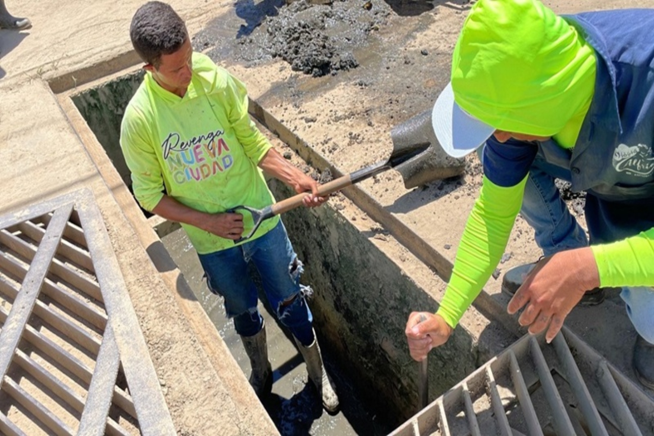 Aragua (17)