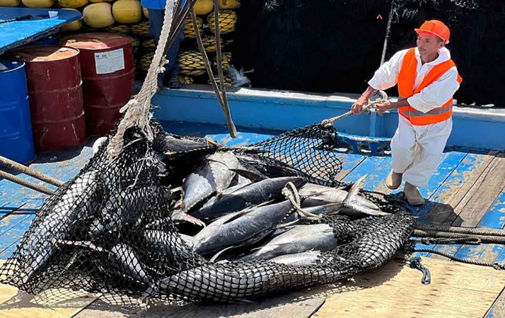 Arriba-a-Venezuela-900-toneladas-de-atun-del-Pacifico-para-fortalecer-la-economia