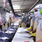 Presidente Maduro: «Todo apunta a que este año vamos a tener un crecimiento del 9 % del PIB»