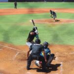Leones del Caracas y la Selección de Brión dividieron honores en la emocionante Serie de Higuerote
