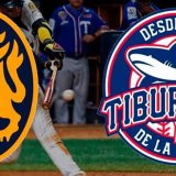 Leones del Caracas vs Tiburones de la Guaira