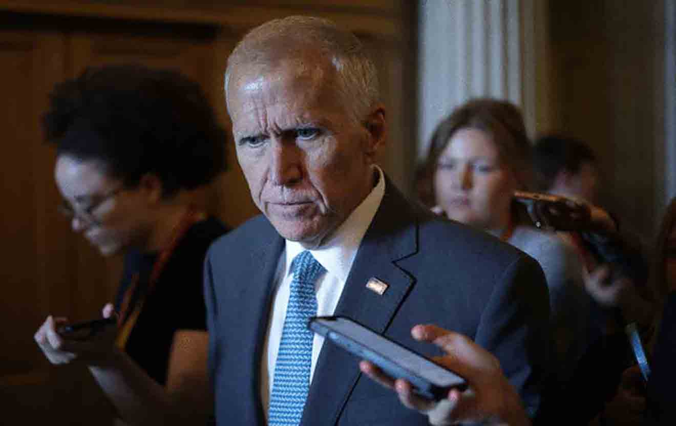 Thom-Tillis-1