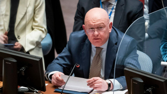 vasili-nebenzia-49528