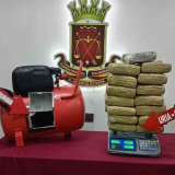 FANB incautó más de 15 kilos de marihuana en Lara