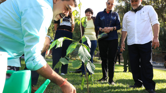 15_ZC__0648_P-e1766181005944