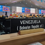 photo_5026138719295048515_y-1-1-1