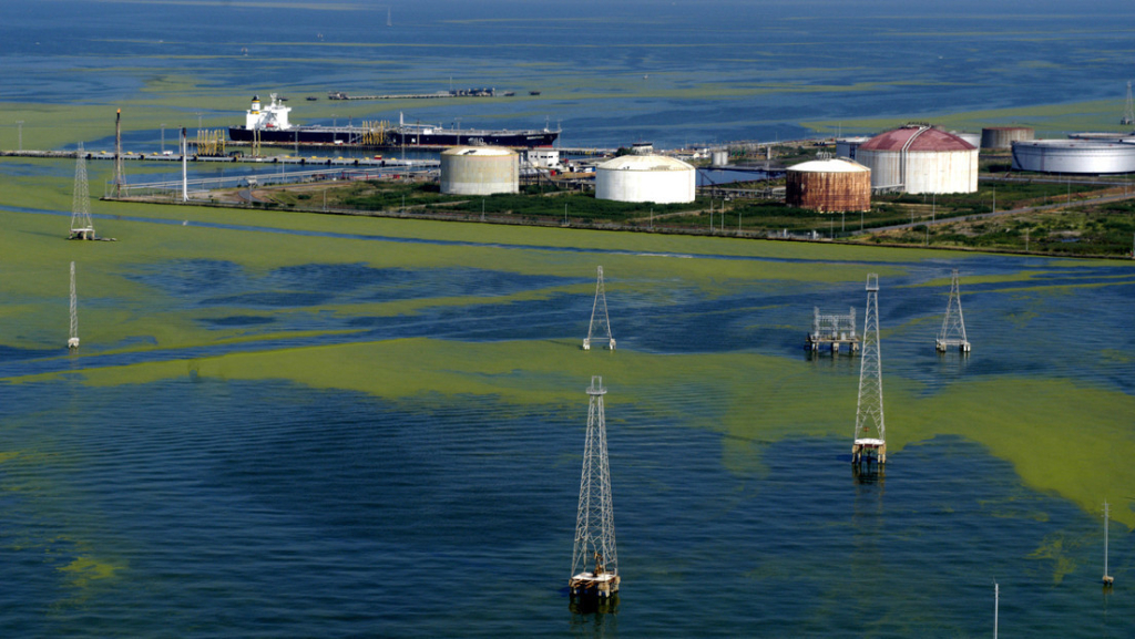 695da57be9ff7157475dbba9