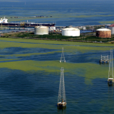 695da57be9ff7157475dbba9