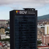 bdv