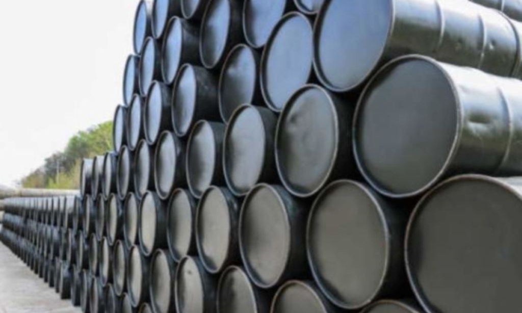 IMG_20260118_141218_991