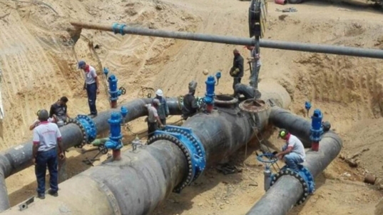 IMG_20260125_131256_734