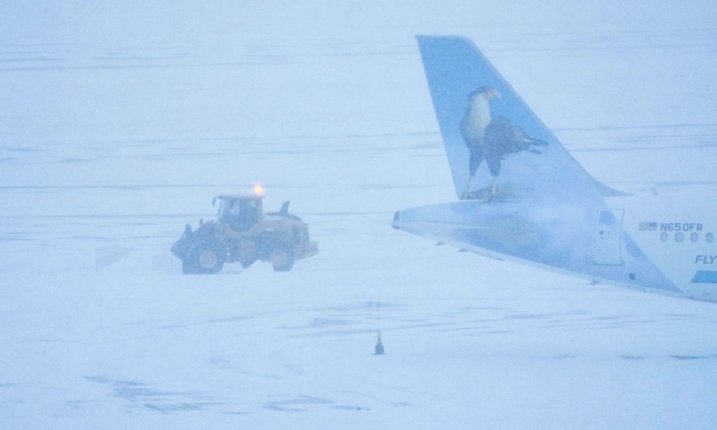 IMG_20260125_141454_194