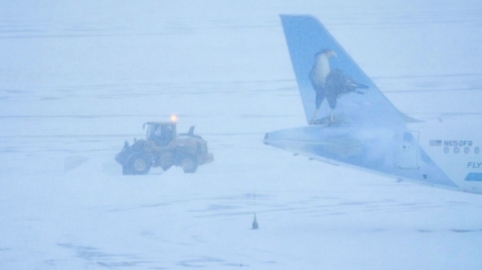 IMG_20260125_141454_194