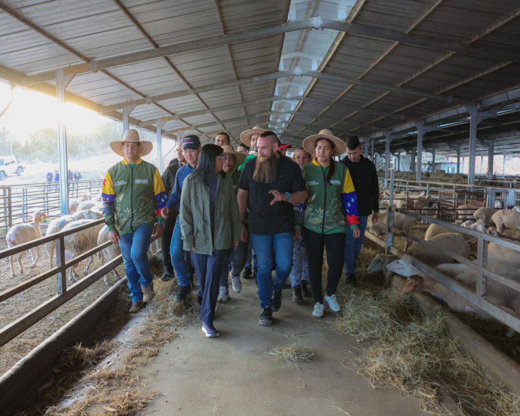 IMG_2771-1-2048x1638