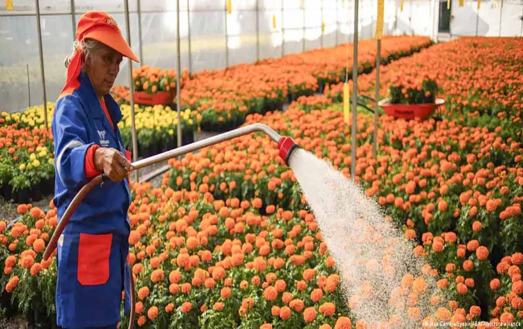 Sheinbaum publica reforma que reduce jornada laboral copia