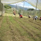 Reactivan-Fundo-Zamorano-Jose-Rafael-Revenga-en-Aragua