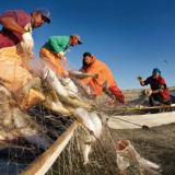 Venezuela- Pesca-artesanal