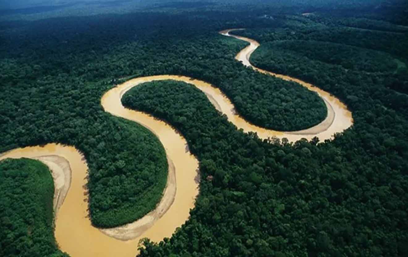 amazonia
