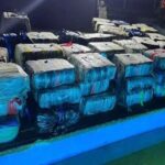 GNB y PNB incautan más de 3 toneladas de presunta marihuana en Apure y Falcón