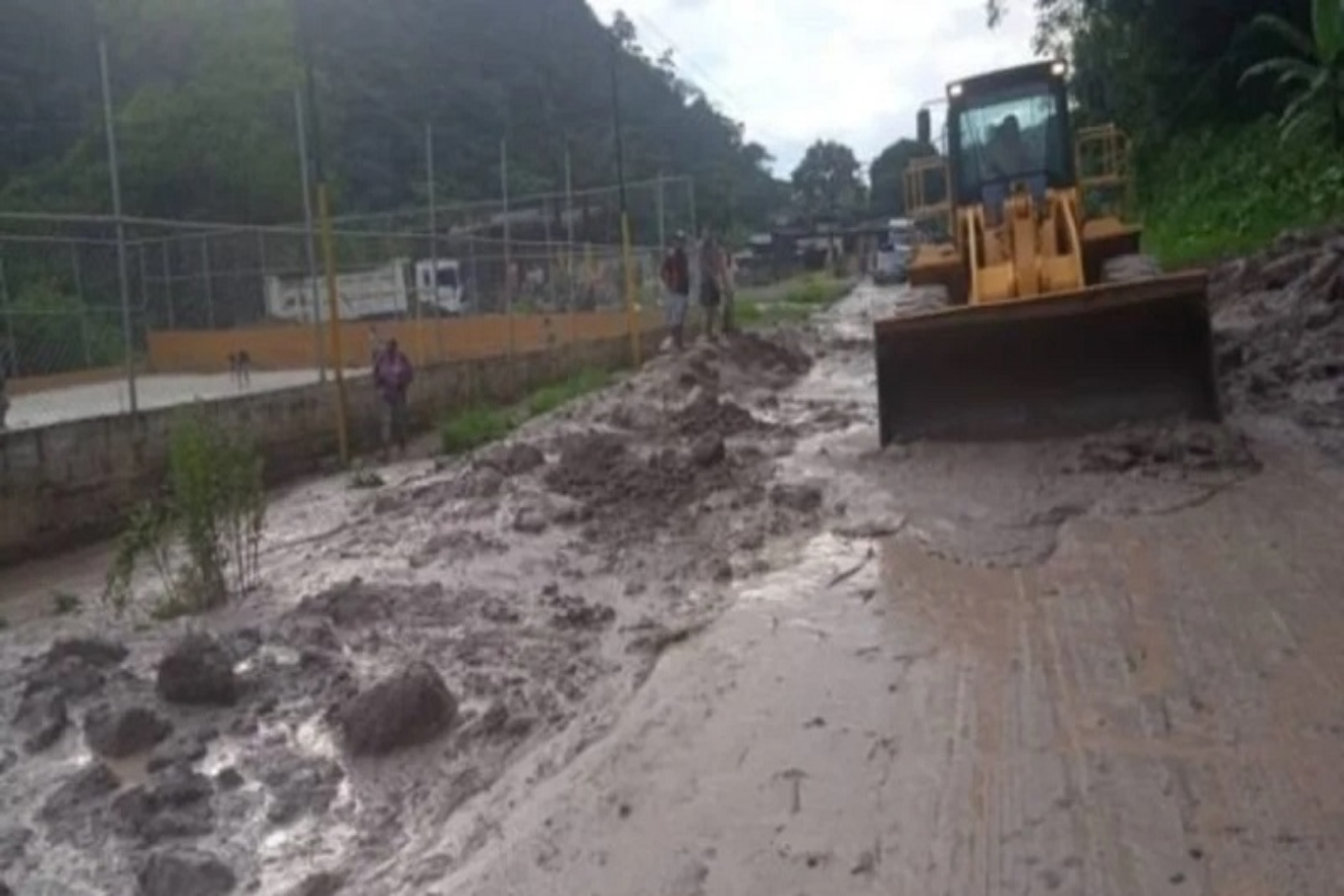 Tachira