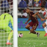 Vinotinto