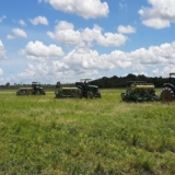campo-portuguesa