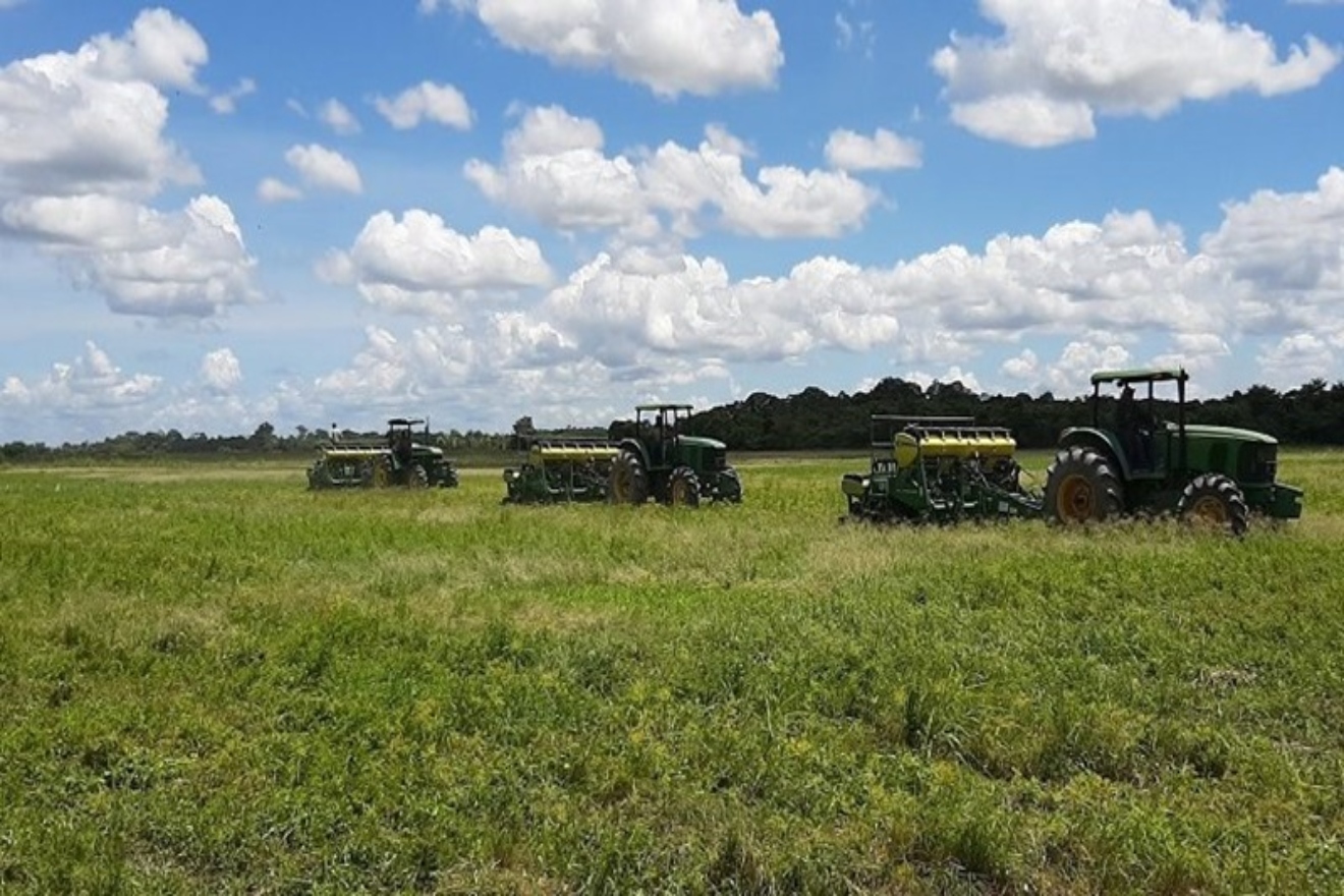 campo-portuguesa