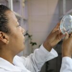 En la Fundación IDEA desarrollan sistema de propagación de plantas hermafroditas de lechosa