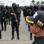 Cabello: Más de 47 mil kilos de droga han sido incautados este año