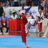 Taekwondo